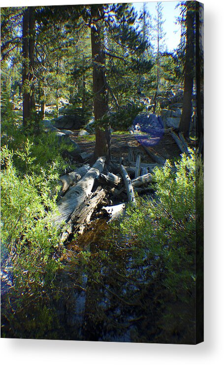 Creek Acrylic Print featuring the photograph Creek in White Wolf by Martin Valeriano