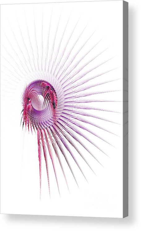 Fractal Acrylic Print featuring the digital art Dreamcatcher by Ann Garrett