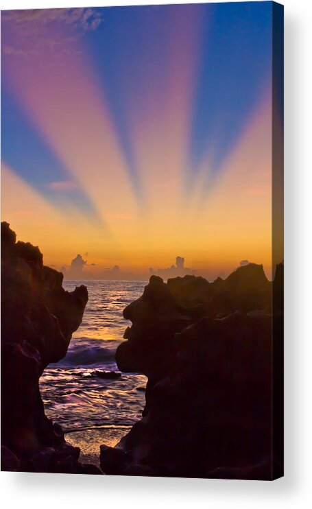 Coral Cove Acrylic Print featuring the photograph Face the Morning by Debra and Dave Vanderlaan