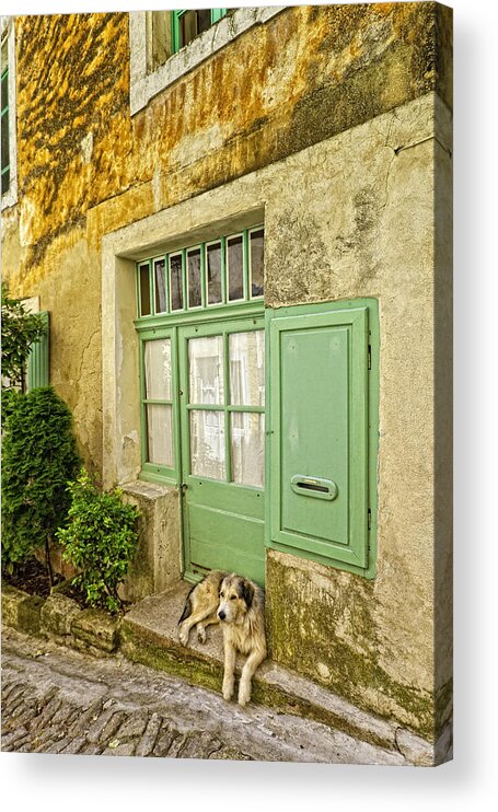 Dog Acrylic Print featuring the photograph Famille de attente dans Gordes by Fred J Lord