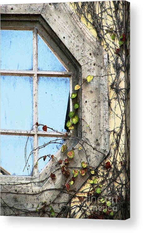 Windows Acrylic Print featuring the photograph Framed Autumn Blue by Ellen Cotton