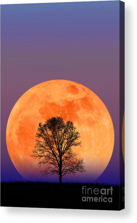 Astronomy Acrylic Print featuring the photograph Full Moon by Larry Landolfi and Photo Researchers