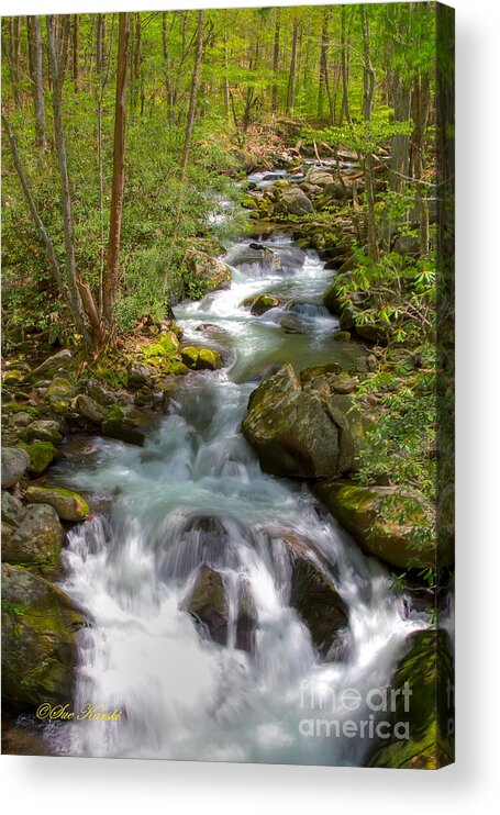 Smoky Mountains Acrylic Print featuring the photograph Full Stream by Sue Karski