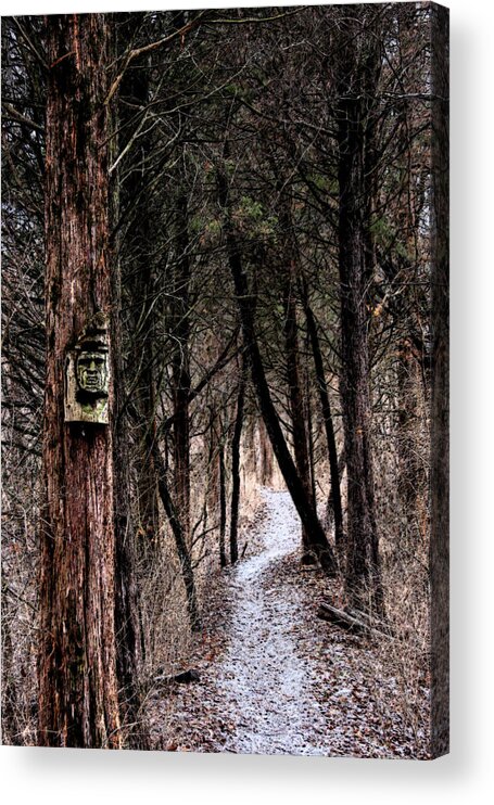 Forest Acrylic Print featuring the photograph Gently Into The Forest My Friend by Marie Jamieson