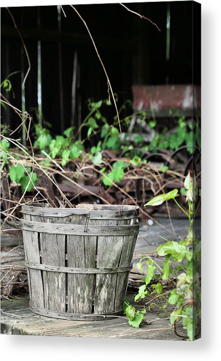 Harvest Time Acrylic Print featuring the photograph Harvest Time by JC Findley