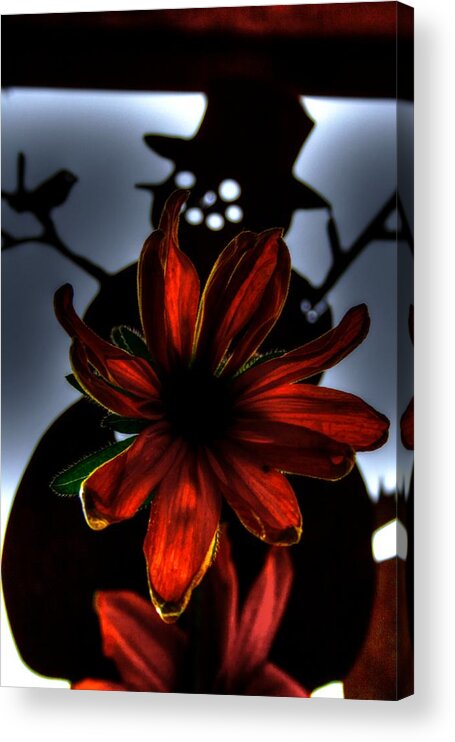 Flowers Acrylic Print featuring the photograph Haunted Frosty by Tom Liesener