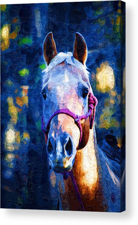 Horse Acrylic Print featuring the painting Horse Beautiful by Kathy Clark