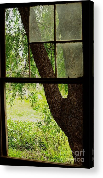 Melbourne Acrylic Print featuring the photograph Inside looking out by Blair Stuart