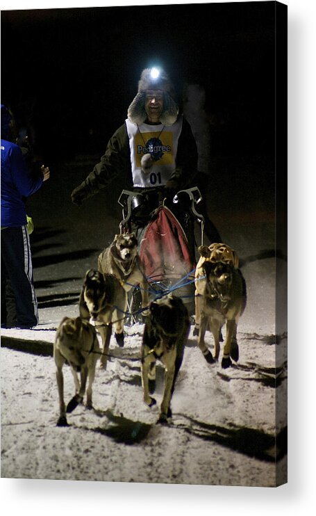 International Pedigree Stage Stop Sled Dog Race Acrylic Print featuring the photograph International Pedigree Stage Stop Sled Dog Race Jackson Hole WY by Benjamin Dahl