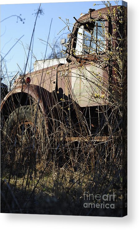 Truck Acrylic Print featuring the photograph Jurassic by Luke Moore