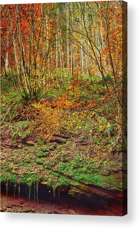 Landscape Acrylic Print featuring the photograph Kordel by Maciej Markiewicz