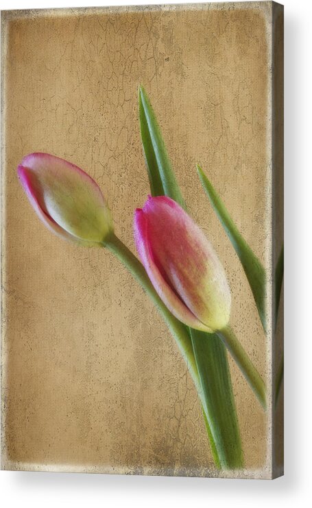 Florals Acrylic Print featuring the photograph Lean on Me by Linda Dunn