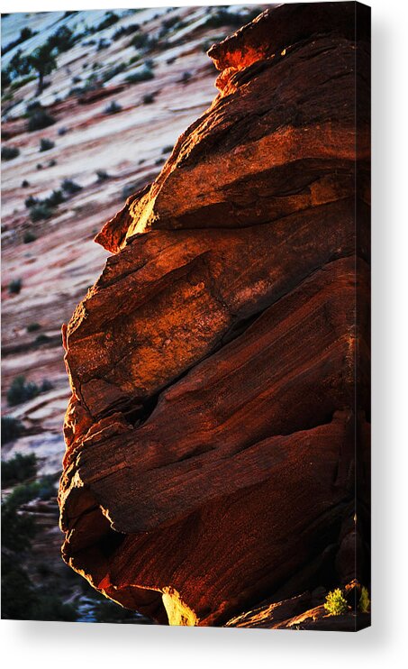 Little Brother Acrylic Print featuring the photograph Little Brother by Skip Hunt