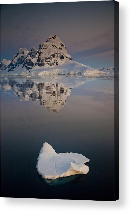 00479586 Acrylic Print featuring the photograph Peak On Wiencke Island Antarctic by Colin Monteath