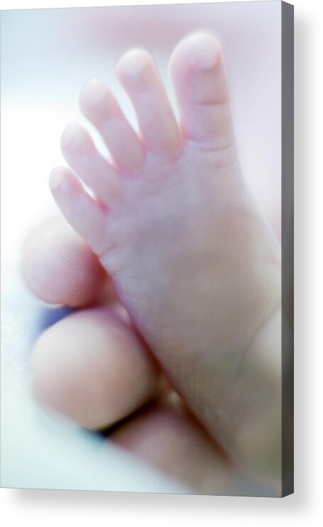0-1 Months Acrylic Print featuring the photograph Premature Baby's Foot by 
