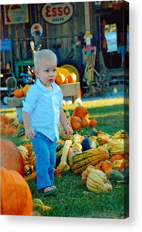 Pumpkin Acrylic Print featuring the photograph Pumpkin by Phil Burton
