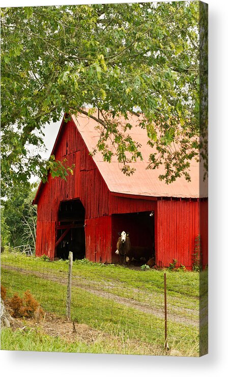 Barn Acrylic Print featuring the photograph Red Barn with Pink Roof by Douglas Barnett