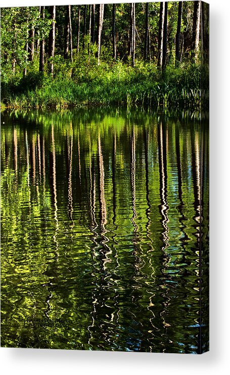 Mississippi Acrylic Print featuring the photograph Reflecting on the Reflection by Dorothy Cunningham