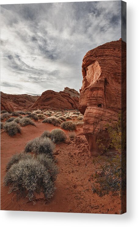 Valley Of Fire Acrylic Print featuring the photograph Sage and Sandstone Vertical by Gary Zuercher