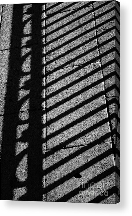 Blanco Y Negro Acrylic Print featuring the photograph Shades by Agusti Pardo Rossello
