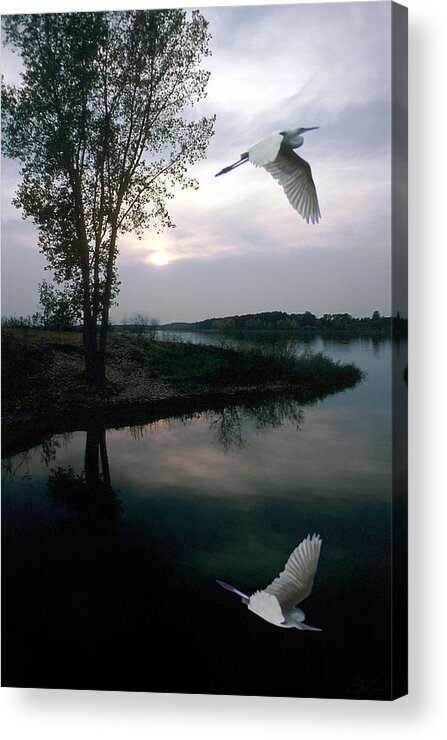 Lake Acrylic Print featuring the photograph Silent Passage by Jon Lord