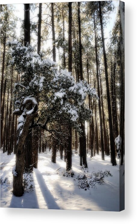 Snow Acrylic Print featuring the photograph Snow Day by Saija Lehtonen