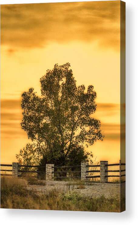 Klondike Park Acrylic Print featuring the photograph Soaking Up A Sunset Glow by Bill and Linda Tiepelman