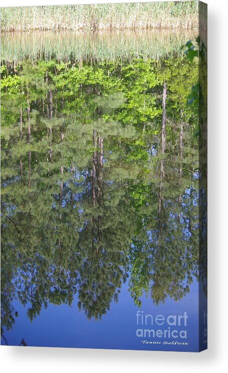 Reflection Acrylic Print featuring the photograph Summer reflection by Tannis Baldwin