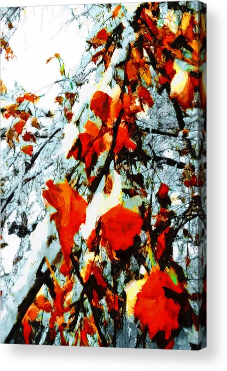 Autumn Acrylic Print featuring the photograph The Autumn Leaves and Winter Snow by Steve Taylor