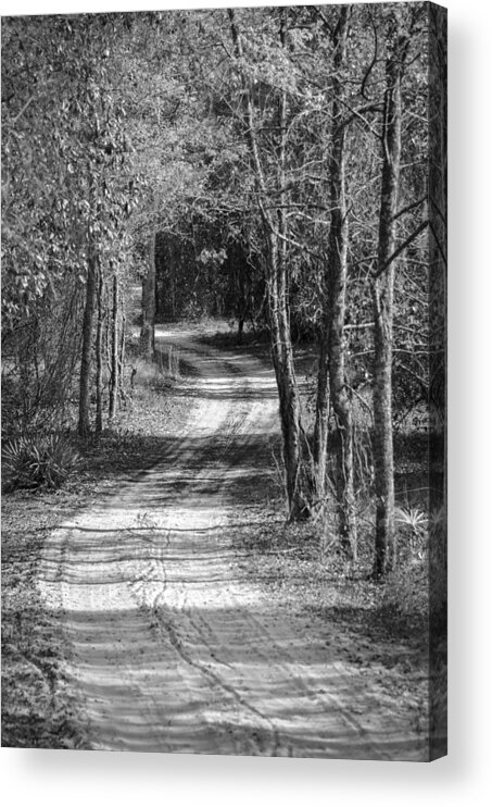 Back Woods Acrylic Print featuring the photograph The Beaten Path by Carolyn Marshall