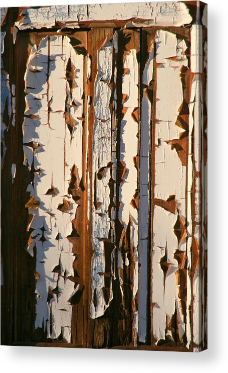 Outback Acrylic Print featuring the photograph The Old Door by Jan Lawnikanis