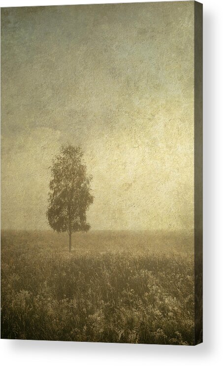 Tree Acrylic Print featuring the photograph The One by Jenny Rainbow