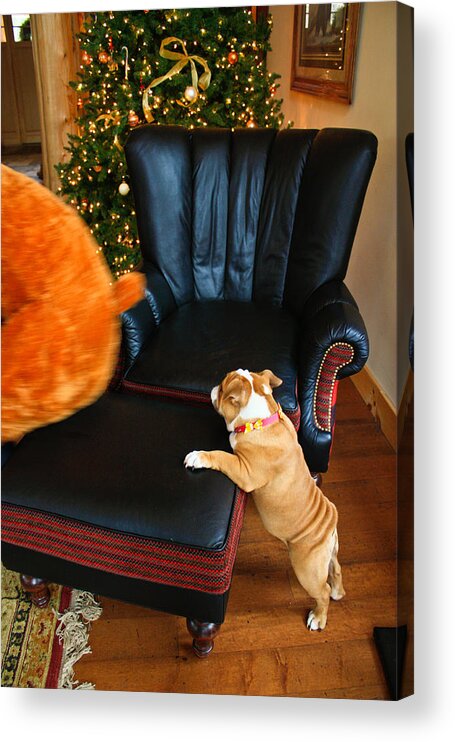 Christmas By The Fireplace Acrylic Print featuring the photograph The Puppy Chase by Ann Murphy