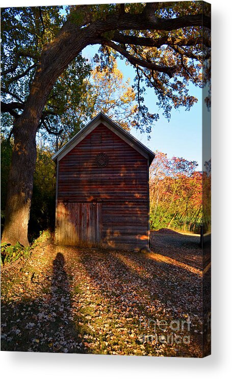 Color Photography Acrylic Print featuring the photograph The Weathered Shed by Sue Stefanowicz