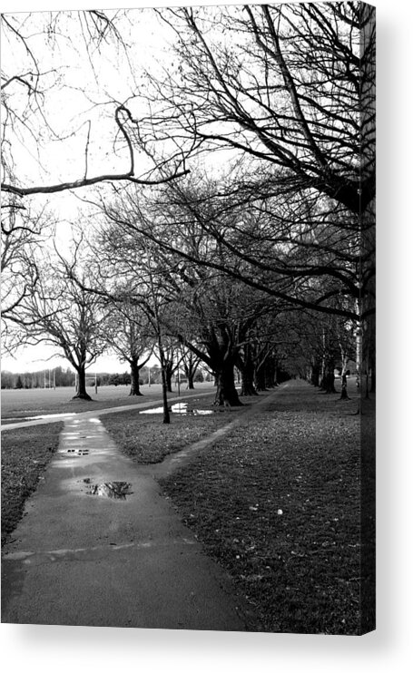 Pathway Acrylic Print featuring the photograph Tree and Pathway 4 of 6 by Roseanne Jones