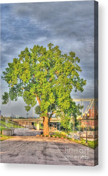 Tree Acrylic Print featuring the photograph Tree at Newport on the Levee by Jeremy Lankford