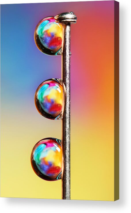 Pin Acrylic Print featuring the photograph Tropical Pin Drop by Sharon Johnstone