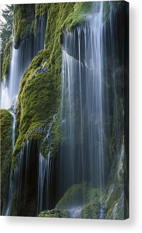 Mp Acrylic Print featuring the photograph Waterfall and Moss Bavaria by Konrad Wothe