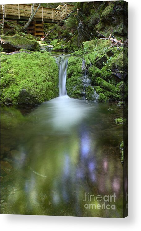 Waterfall Acrylic Print featuring the photograph Waterfall by Ted Kinsman