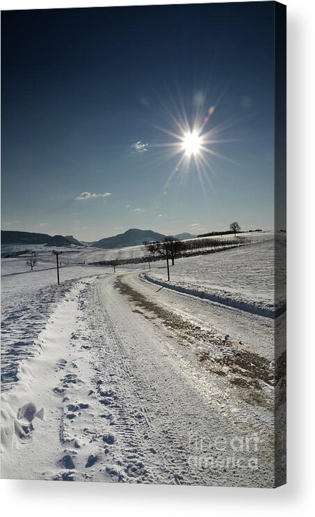 Photograph Acrylic Print featuring the photograph Winter Beauty 1 by Bruno Santoro