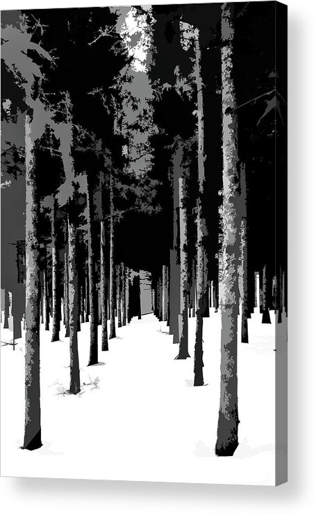 Trees Acrylic Print featuring the photograph Winter Path by Burney Lieberman