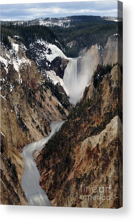 Yellowstone Falls Acrylic Print featuring the photograph Yellowstone falls by Dan Friend