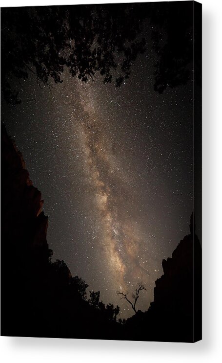 Milkyway Acrylic Print featuring the photograph A Dark Night In Zion Canyon #3 by David Watkins