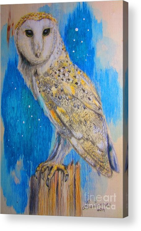 Barn Owl Acrylic Print featuring the drawing Barn Owl #1 by Laurianna Taylor