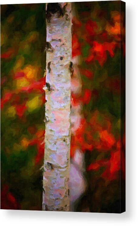 Birch Acrylic Print featuring the painting Birch Tree #1 by Prince Andre Faubert