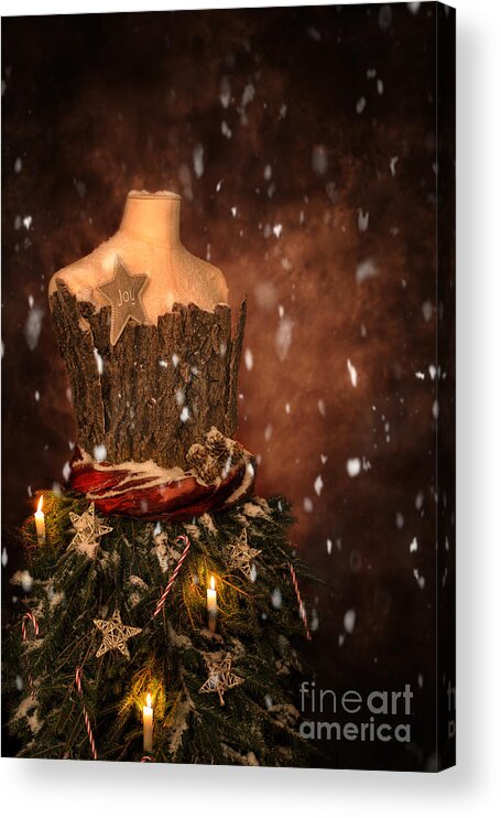 Christmas Acrylic Print featuring the photograph Christmas Mannequin #1 by Amanda Elwell