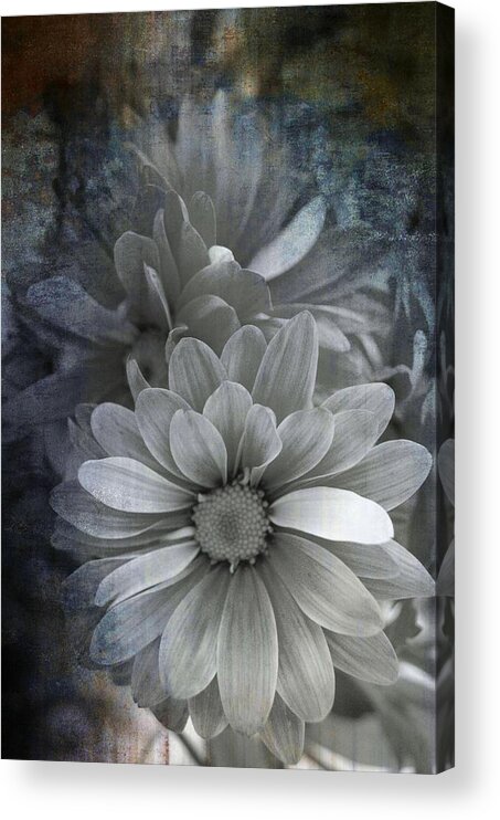 Goth Acrylic Print featuring the photograph From The Palest of Light #1 by Cheryl Charette