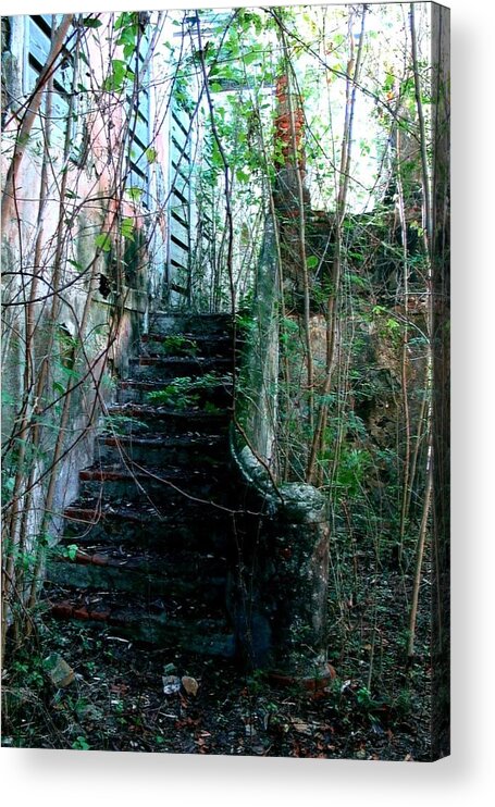 House Acrylic Print featuring the photograph Jungle House by Robert Nickologianis
