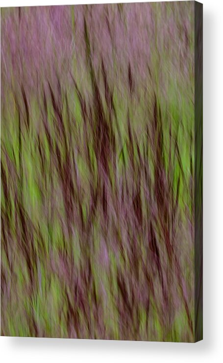 Grass Acrylic Print featuring the photograph Lake Grass #2 by Deborah Hughes