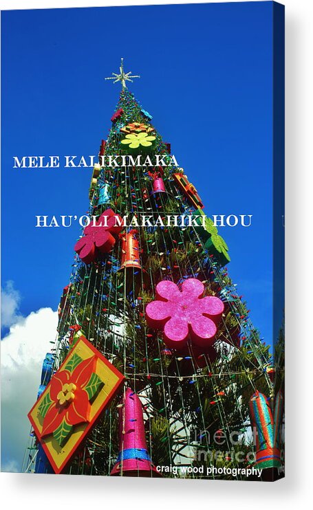 Merry Christmas And Happy New Year In Hawaiian Acrylic Print featuring the photograph Merry Christmas Happy New Year Hawaiian #2 by Craig Wood